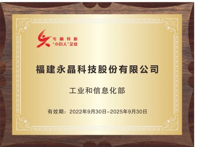 專精特新“小巨人”企業(yè)
