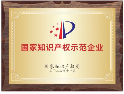 國家知識產權示范企業(yè)